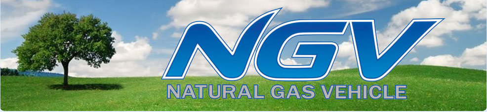 ngv3